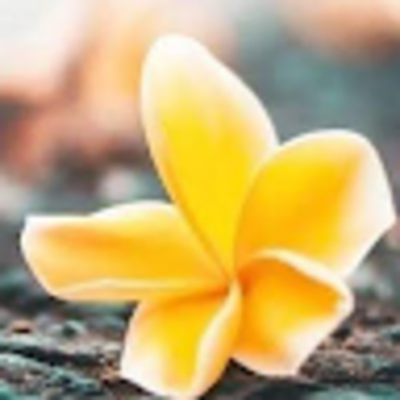 Meet your Posher, Revathi - Picture 1 of 1